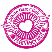 Pregnancy MOT Pregnancy MOT