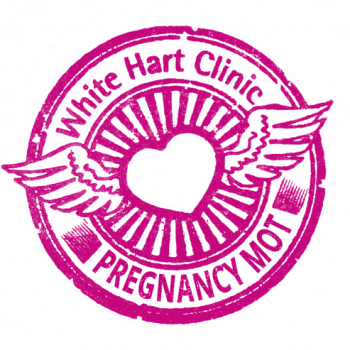 Pregnancy MOT pregnancy check up south west london